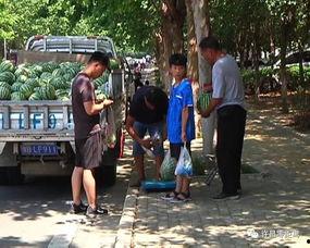 缅北边境吃瓜群众视频,边境生活百态