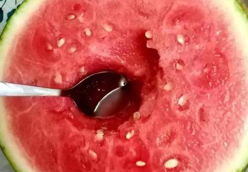 用勺子怎么吃哈密瓜视频,哈密瓜新吃法视频教程