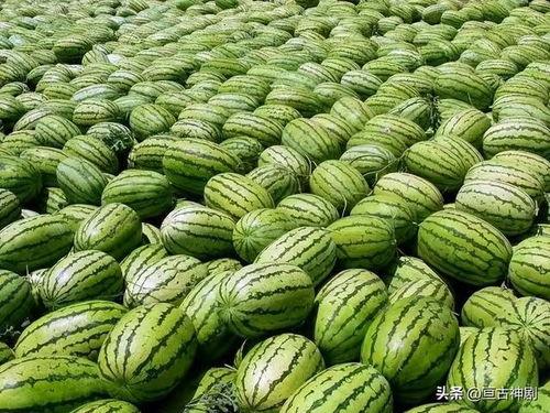 川美吃瓜视频,揭秘校园热点背后的真相