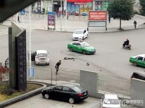 吃瓜的瓜哥红绿灯视频,揭秘交通规则背后的趣味故事