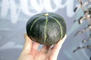 抖音小煤球儿吃瓜视频,揭秘娱乐圈幕后真相