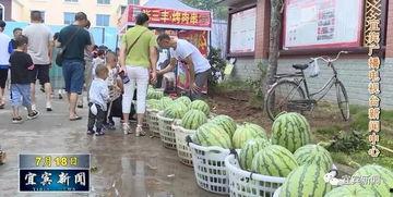 江苏淮安吃瓜事件视频曝光,视频曝光揭示惊人真相