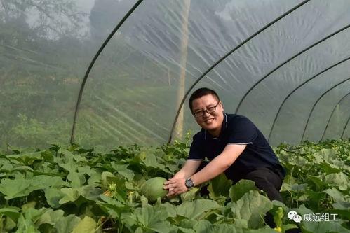 小长假吃瓜视频,盘点热门视频背后的趣味故事