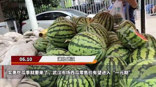 一元视频吃瓜,揭秘娱乐圈幕后真相