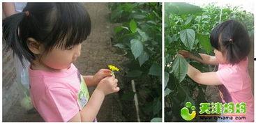 辣手摧花吃瓜视频大全集