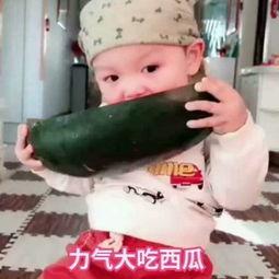宝贝吃小瓜视频,小瓜美食之旅