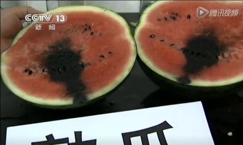 吃瓜群众怎么挖瓜视频,揭秘“吃瓜群众”如何挖掘热门视频背后的瓜