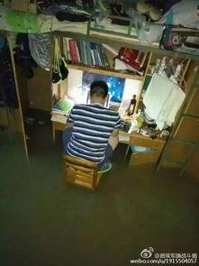 东湖学院椅子吃瓜原视频,一场校园奇观的背后真相