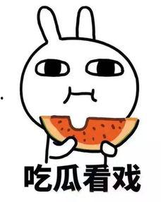 牛逼吃瓜视频大全,牛逼吃瓜视频大全，笑料百出，精彩纷呈！