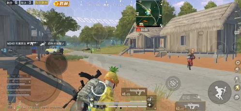 麻瓜蛋吃鸡完整视频,一场奇幻冒险的欢乐盛宴