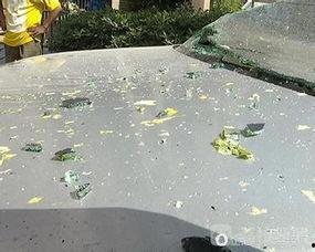 路边女人砸车吃瓜视频,引发网友热议