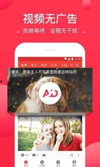 吃瓜视频爆料小说在线阅读,热门小说背后的故事