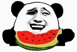 吃瓜群众吃瓜视频播放器,带你领略热门视频的魅力