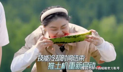 中国人吃瓜统一姿势视频,网络热传视频背后的文化现象