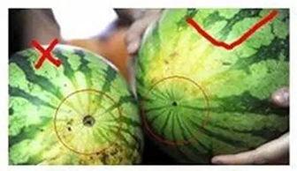 阜阳最新吃瓜视频,揭秘当地热门事件背后的真相