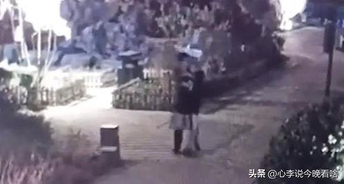 老特务吃瓜视频,一场惊心动魄的谍战风云