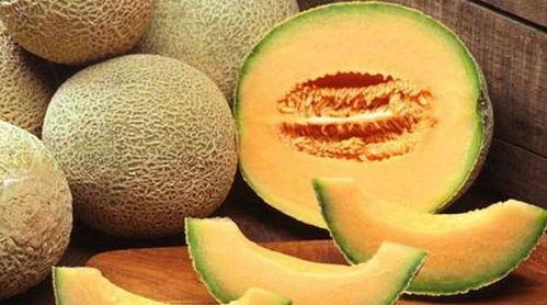 小硕吃哈密瓜视频,甜蜜瞬间记录