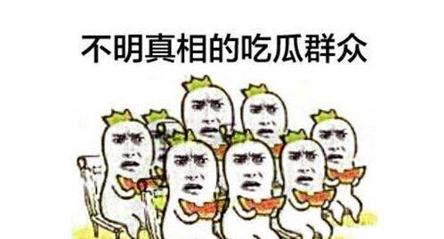 重温经典吃瓜群众视频,吃瓜群众视角下的娱乐风云录