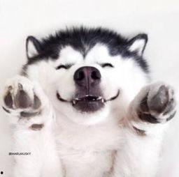 吃瓜群众无语视频