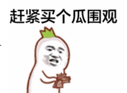 2019吃瓜群众原视频,年度热点事件回顾