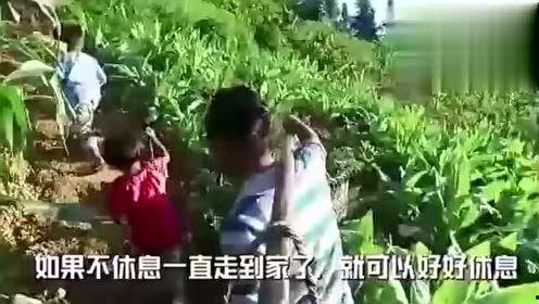 阳光灿烂吃瓜视频,吃瓜视频带你领略欢乐时光