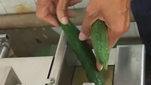 切瓜直接吃视频,切瓜视频教你轻松解锁夏日清凉美食