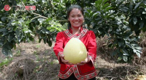 广西贺州女神吃瓜视频,揭秘网红美食背后的故事