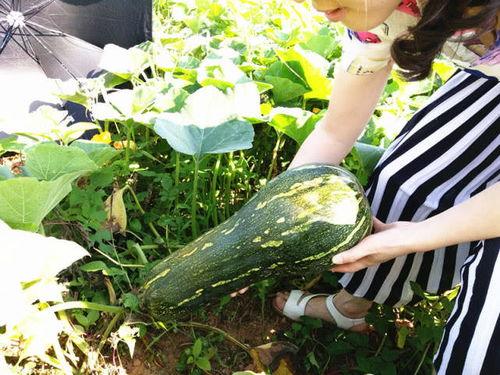 四大花式吃瓜完整视频,视频带你领略瓜界新潮流