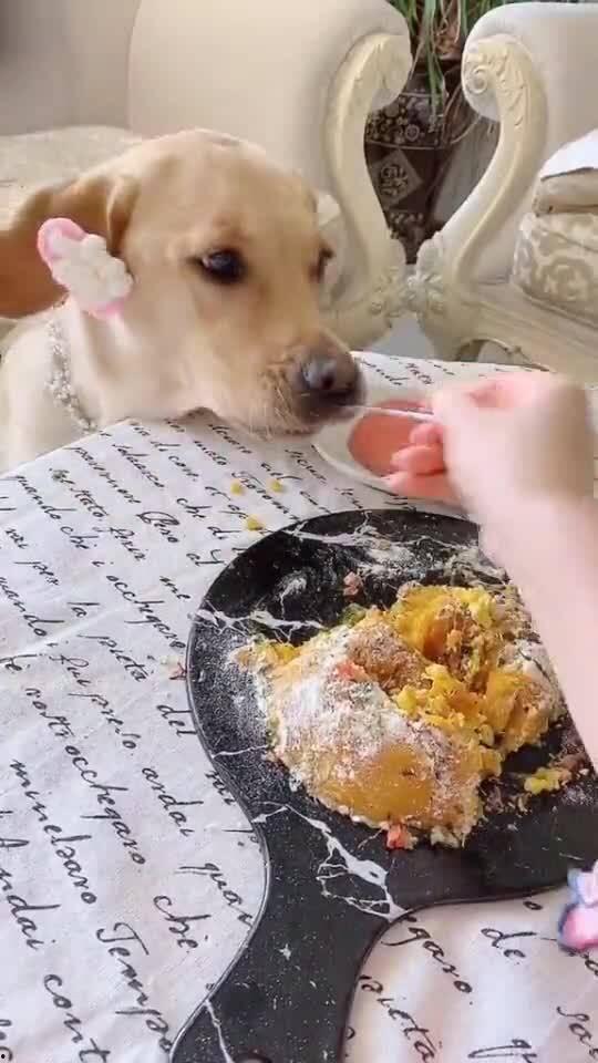 吃瓜狼吞虎咽图片搞笑视频,搞笑视频笑翻众人