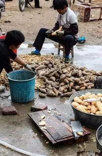 湖南永州吃瓜事件视频,湖南永州“吃瓜事件”视频引发热议