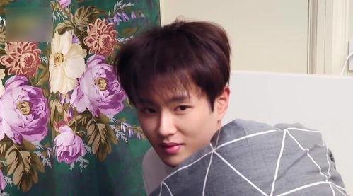 范丞丞吃大瓜视频在线观看,揭秘娱乐圈幕后真相