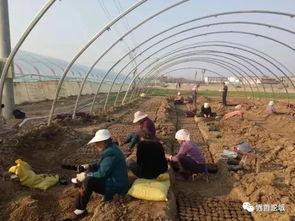 界首吃瓜的视频,一场视觉与味蕾的双重盛宴