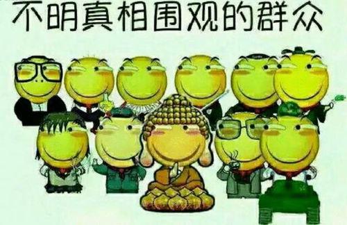 吃瓜群众发言视频集锦,视频集锦中的热点话题盘点