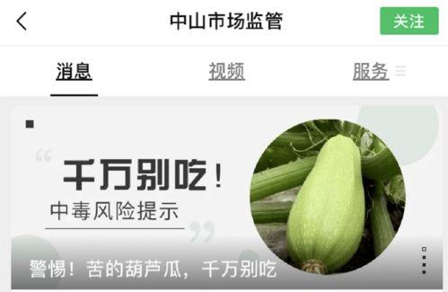 小狗吃葫芦瓜的视频