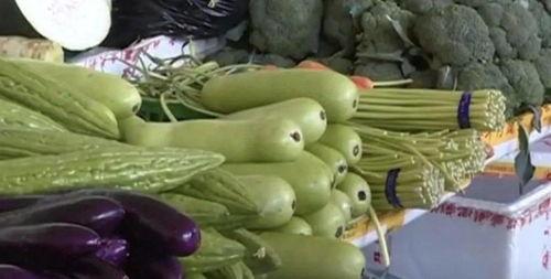 小狗吃葫芦瓜的视频