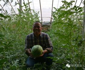 山东群众吃瓜视频大全