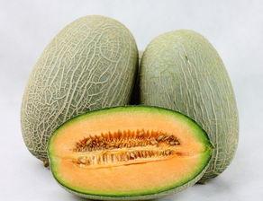 鹅吃哈密瓜视频大全集,哈密瓜盛宴视频大全集