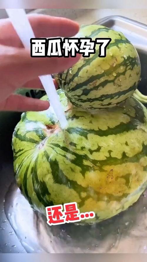 国外吃瓜搞笑视频大全,国外吃瓜搞笑视频大盘点