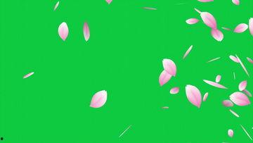 吃瓜素材绿幕视频下载安装,吃瓜素材轻松获取指南