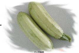 茭瓜过夜还可以吃吗视频,茭瓜过夜安全食用指南