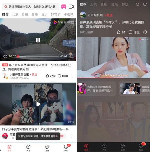 吃瓜爆料女装博主视频下载,吃瓜爆料视频下载背后的故事