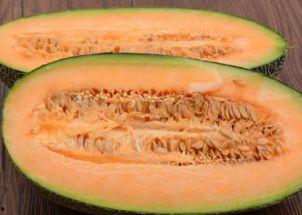 一只哈密瓜吃兔子视频,萌宠挑战吃瓜极限