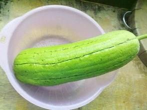 水瓜可以炒什么吃的呢视频,家常炒菜新选择