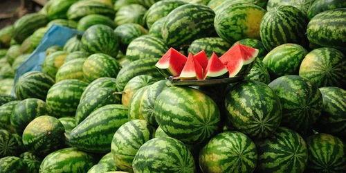 蚌埠吃瓜事件视频最新,一场网络热议的瓜田奇谈