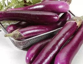 茄瓜怎么吃减脂最快视频,视频揭秘快速瘦身秘诀