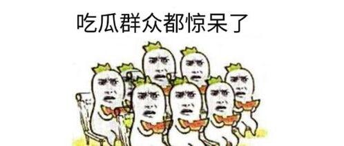 吃瓜群众骂脏话视频播放