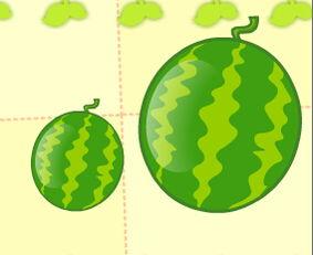 吃瓜的小葡萄儿歌视频,吃瓜乐趣，童趣无限