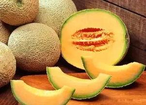 魔瓜怎样吃最好吃呢视频,视频揭秘最佳食用方法