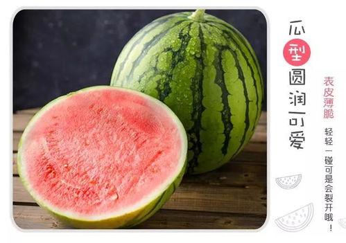 看吃瓜界的视频,热门视频背后的故事与真相