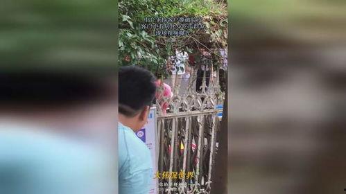 情侣吃瓜现场视频大全播放,视频大全带你领略甜蜜瞬间